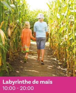 Labyrinthe de maïs géant | Enenvol - Montgolfières à Chambley été 2025