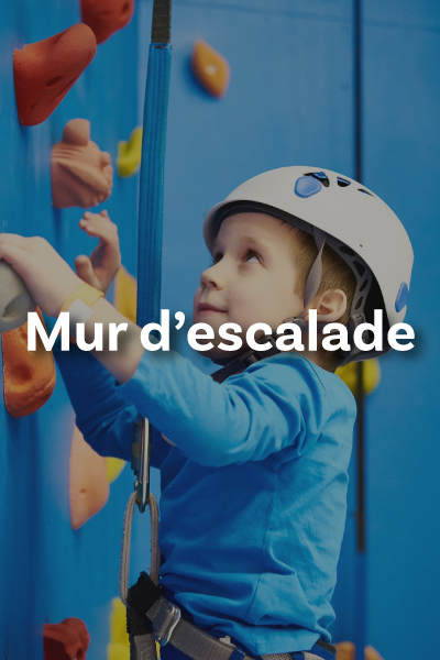Mur d'escalade | Enenvol, rassemblement de montgolfières à  Chambley en Lorraine.