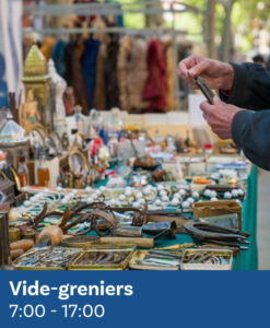 Vide-Greniers | Enenvol, rassemblement de montgolfières à  Chambley en Lorraine