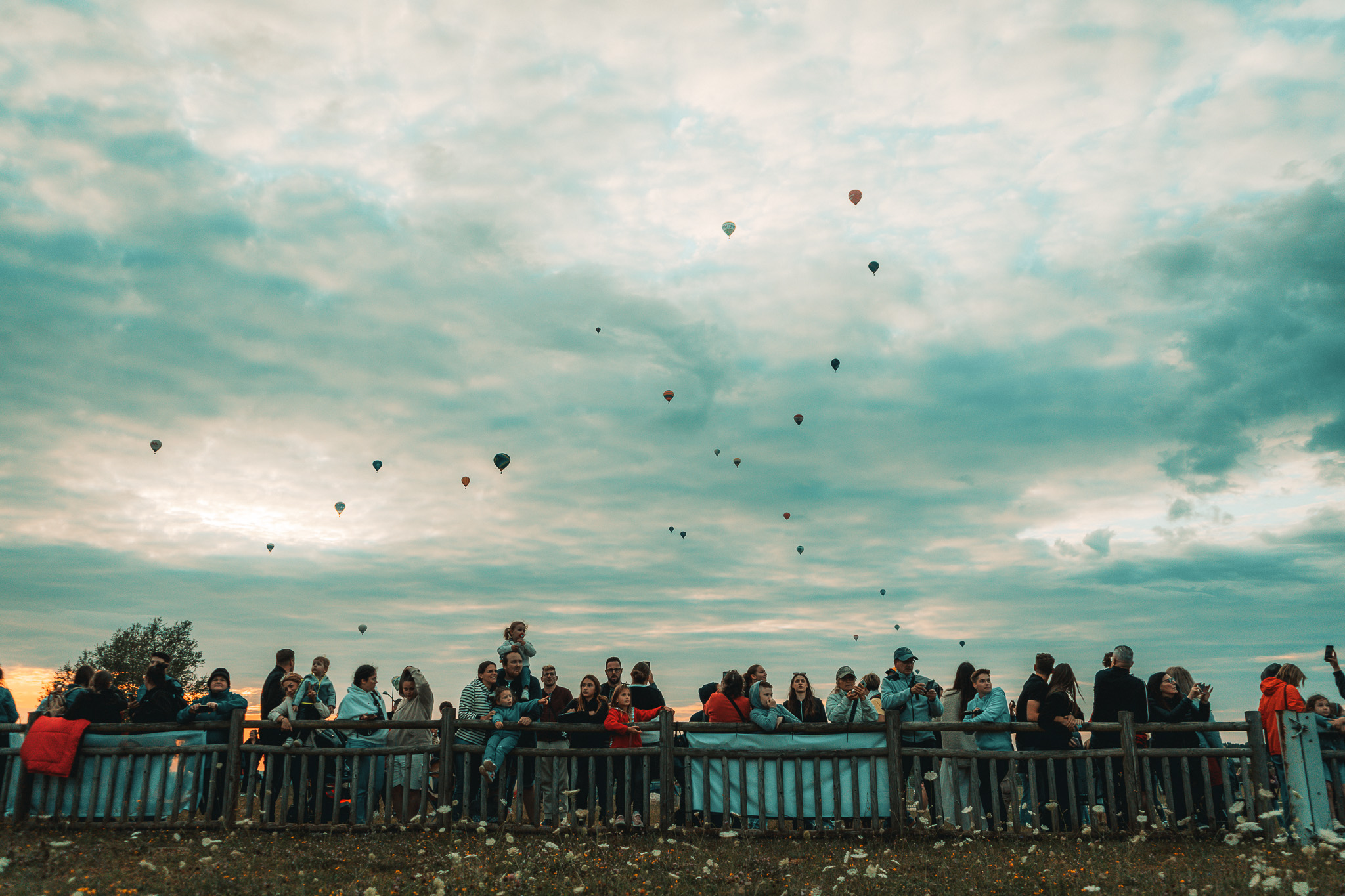 COPYRIGHT LEO PATRICOLA