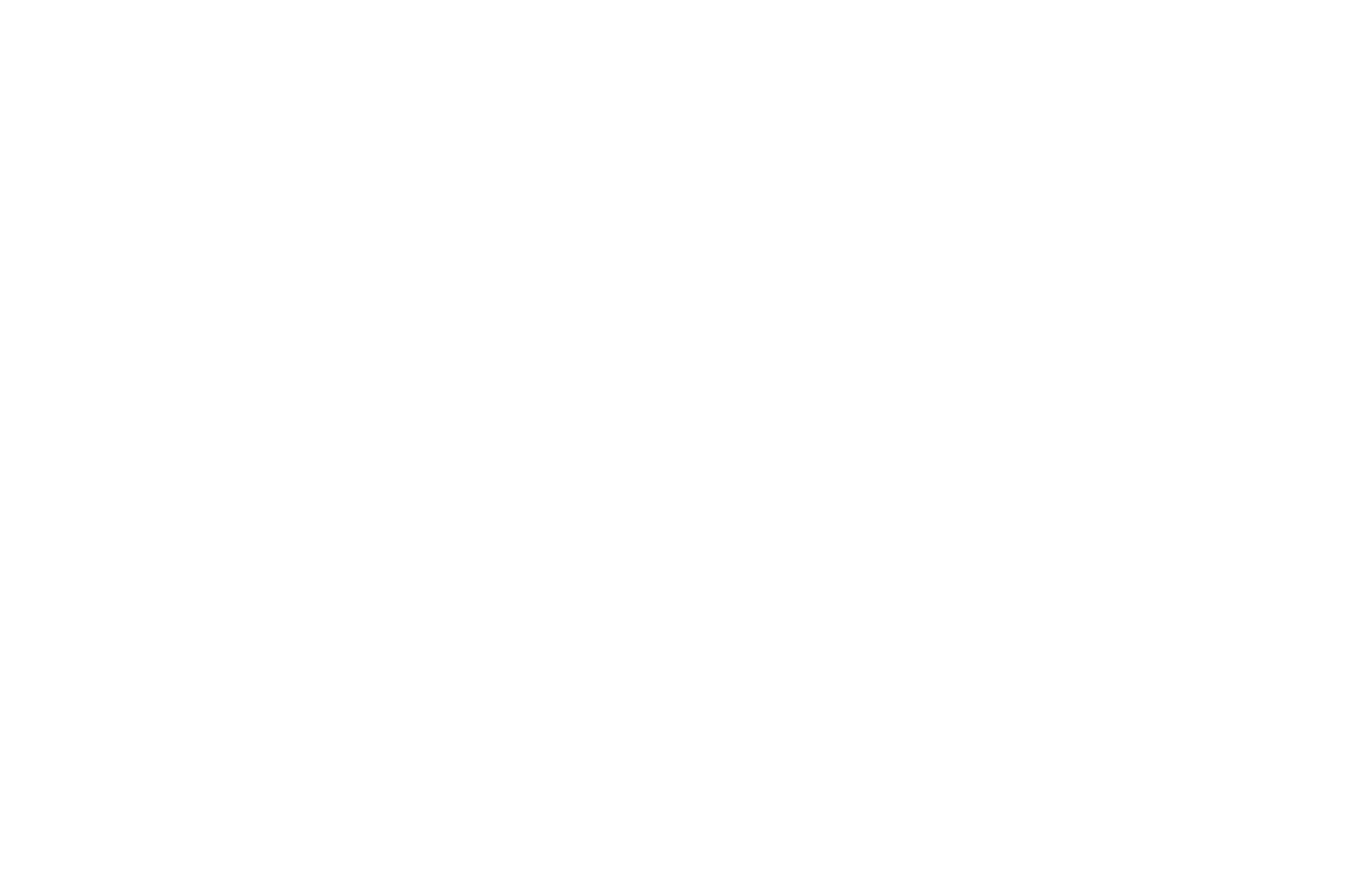 LOGO_FESTIVOL_blanc
